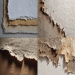 **rough paper edges mask texture --ar 16:9** - <@372943062537732096> (fast)
-# Create, explore, and organize on [midjourney.com](<https://midjourney.com/imagine?from_discord=1>)