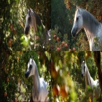 **an image of a grey Arabian mare standing amongst pomegranate trees in strong dappled sunlight. The mare is in the right side of the image and Her head intersects the upper right third of the image and she is looking back toward the bottom left corner but her body is facing the bottom right corner. Her head and body create the curve of a golden ratio. Some of the pomegranates in the foreground toward the bottom left of the image are open and the seeds are visible --ar 16:9** - <@670754511698001963> (fast)