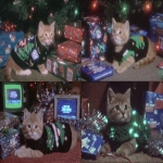 **a cute kitten wearing a crochet Christmas tree outfit surrounded by sparkling glittery presents with prophetic iris wrapping paper tumblr aesthetic --ar 3:2 --sref 1793609594** - <@937851746712186921> (relaxed)