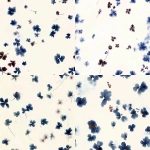 **<https://s.mj.run/c7YGjzMuq5I> Create same image with isolated floral element, no background, cut-out style --iw 3.0 --tile --stylize 50 --v 6.1** - <@1214894887867125803> (fast)