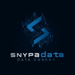 **Create a professional looking logo for a Data Entry Company in navy blue colors using the word "Synaptechdata"** - Image #3 <@1106338912126902343>