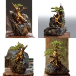 **<https://s.mj.run/BfWUQQplXLg> bonsai cây mọc trên đá** - <@1357752820522029238> (fast)