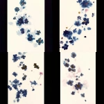 **<https://s.mj.run/c7YGjzMuq5I> Create same image with isolated floral element, no background, cut-out style --iw 3.0 --stylize 50 --niji 6** - <@1214894887867125803> (fast)