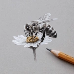 **A honey bee sitting a flower. Detailed pencil drawing.** - Image #4 <@817022345902162030>