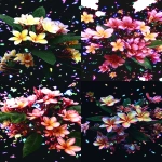 **<https://s.mj.run/8VoTm_61uWI> digital illustration of Plumeria floral design 2d digital art, flat colours, no shadows, outlines, vector art, high resolution, high quality, high detail, hyper realistic, hyper detailed, hyperrealistic, --ar 3:4 --v 7.0** - <@1347292308831469652> (fast)