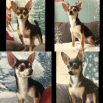 **imagine the chihuahua in the attached image in a retro illustrative vintage-style Christmas art as a young reindeer in a snowy scene. This type of artwork is commonly used for holiday decorations. The artwork has a retro aesthetic, popular for creating a nostalgic holiday atmosphere. <https://s.mj.run/_sDrGvLiBTU>** - <@776899577458589780> (fast)