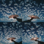 **strangulation cirrocumulus only hand 🤚 fans --s 250 --v 7.0 --ar 1:2** - Variations (Strong) by <@974789918188535848> (relaxed, stealth)