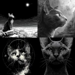 **monochronolith cat** - <@375830511882338304> (fast)
-# Create, explore, and organize on [midjourney.com](<https://midjourney.com/imagine?from_discord=1>)