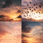 **Birds flying freely in the sky, warm sunset glow, freedom aesthetic --ar 4:5** - <@1317242788189831250> (fast)