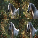 **an image of a grey Arabian mare standing amongst pomegranate trees in strong dappled sunlight. The mare is in the right side of the image and Her head intersects the upper right third of the image and she is looking back toward the bottom left corner but her body is facing the bottom right corner. Her head and body create the curve of a golden ratio. Some of the pomegranates in the foreground toward the bottom left of the image are open and the seeds are visible --ar 16:9** - Variations (Strong) by <@670754511698001963> (fast)
-# Create, explore, and organize on [midjourney.com](<https://midjourney.com/imagine?from_discord=1>)