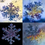 **Snowflake Macrophotography is a prisoner as much as we are, a sad relic of indolence. We are all prisoners. We are all trapped in one endless, faithless day. --v 7.0 --p aupaq7s** - <@502344464426074132> (fast)