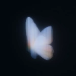 **18h 3D render, Forside-style fine-art surrealism inspired by Neo-Plasticism. A butterfly reimagined through pure geometric balance its wings unfold like translucent architectural planes of light and shadow. The left wing radiates luminous white and deep black in vertical order, while the right wing holds quiet horizontal bands of spectral color (red, blue, yellow). The organic veins dissolve into crystalline lines of perfect proportion, transforming natural symmetry into abstract discipline. No background, only a black void filled with silent luminosity, where motion is replaced by equilibrium. The butterfly becomes a floating cathedral of geometry a hymn of stillness, balance, and divine order within the sublime. --ar 3:4 --raw --profile 57e8bjg --stylize 360** - Image #4 <@1233018167018917952>