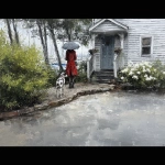 **<https://s.mj.run/shdhskS1UO8> in the style of helen cottle --v 7.0 --exp 20 --p pe2xoas --s 50** - Upscaled by <@1109563305787392083> (fast, stealth)