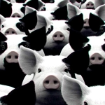 **Why don't we squeal at each other ? this is what is sounds like when pigs 😭 --sref 4240880785 2348464004 --s 250 --v 7.0** - Image #2 <@974789918188535848>