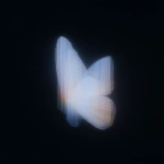 **18h 3D render, Forside-style fine-art surrealism inspired by Neo-Plasticism. A butterfly reimagined through pure geometric balance its wings unfold like translucent architectural planes of light and shadow. The left wing radiates luminous white and deep black in vertical order, while the right wing holds quiet horizontal bands of spectral color (red, blue, yellow). The organic veins dissolve into crystalline lines of perfect proportion, transforming natural symmetry into abstract discipline. No background, only a black void filled with silent luminosity, where motion is replaced by equilibrium. The butterfly becomes a floating cathedral of geometry a hymn of stillness, balance, and divine order within the sublime. --ar 3:4 --raw --profile 57e8bjg --stylize 360 --v 7.0** - Upscaled by <@1233018167018917952> (fast)