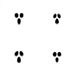 **minimal, vector logo, simple svg, black lines, white background. void, fear, shock --s 200 --c 10 --w 10 --v 7.0** - Variations (Strong) by <@277223286423945226> (fast)