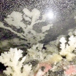 **fulgurite fluorescent jelly --ar 3:4 --p jd7xn9k** - Image #4 <@948741381743083580>