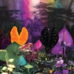 **Barnsley fernpunk --ar 4:5 --p v95am5p djcuvnt** - Image #4 <@948741381743083580>