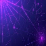 **minimal flat illustration, glowing purple spiderweb stretching from the top corner over a pure black background, subtle eerie glow, clean and simple spooky aesthetic, mostly black with purple accents, loop animation friendly --niji 6 --ar 16:9** - Image #3 <@257221362568003584>