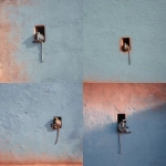 **<https://s.mj.run/ydE3Wc5bF6A> ultra-realistic, HD, minimalist mid shot photo of a soft light blue stone wall, there's a small rectangular hole on the wall and an Indian monkey sitting on it. subtle film grain, fine texture detail. captured with a Fujifilm 50mm lens. --ar 4:5 --v 7.0** - <@753364602561101955> (fast)
-# Create, explore, and organize on [midjourney.com](<https://midjourney.com/imagine?from_discord=1>)