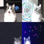 **Silly cat makes a silly face at accretion disk --ar 3:2 --profile fn9opxx u22owga 2z3eyk3 ro2ke7q y9a56jc --niji 6** - <@937851746712186921> (relaxed)