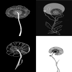 **minimalist ammonite amanita sketch, simple line, line draw, black and white --ar 9:16 --p 8hdw834 --v 7.0** - <@1111883934045843537> (relaxed)
