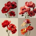 **HD photo realistic poppy flowers, plain background** - <@1153004013885866004> (fast)