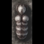 **<https://s.mj.run/0vEE-IjNXLY> <https://s.mj.run/r9uEQ9SlQJI> <https://s.mj.run/zlXZLUIU1G0> <https://s.mj.run/n94SCMWZKR8> <https://s.mj.run/mqMnzMZ9DoE> Unreal Engine 5.6, Rendered in DAZ 3D --p ibweyuz --iw 3 --exp 100 --q 4 --ar 1:1** - Image #4 <@1056809326351757333>