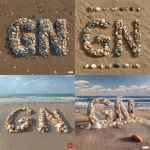 **"GN" made out of seashells on a beach** - <@967989259942391819> (fast)