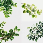 **green leaves branch cluster , white background --v 7.0** - <@813303729926570016> (fast)