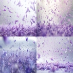**Hundreds of lavender-purple petals swirling across a light gray field, mid-air motion composition, crisp focus on many petals, elegant lighting, no blur, no distortion --ar 16:9 --v 6.0** - <@1386141833826140192> (fast)
-# Create, explore, and organize on [midjourney.com](<https://midjourney.com/imagine?from_discord=1>)