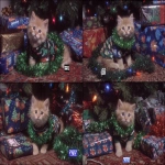 **a cute kitten wearing a Christmas tree outfit surrounded by sparkling glittery presents with prophetic iris wrapping paper tumblr aesthetic --ar 3:2 --sref 1793609594** - Variations (Strong) by <@937851746712186921> (relaxed)
-# Create, explore, and organize on [midjourney.com](<https://midjourney.com/imagine?from_discord=1>)