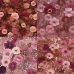 **create a liberty of London repeat print for Chloe spring 2025 in shades of pinks and burgundies and chocolates** - <@1183438824559345674> (59%) (fast)