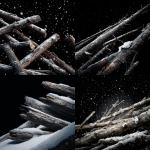 **Scattered broken pine tree trunks, heavily covered in fresh snow, solid pure black background, realistic** - <@468248390342279168> (fast)