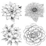 **flower with layered petals rimmed in ice crystals for coloring book with crisp line and white background --ar 17:22** - <@1117434682276057091> (relaxed)
-# Create, explore, and organize on [midjourney.com](<https://midjourney.com/imagine?from_discord=1>)