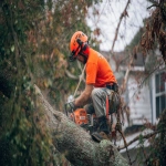 **tree service company --ar 3:2** - Image #3 <@895073519526871042>