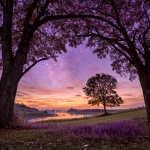 **cosmonautumnal Equinox Celestial --s 250 --c 25 --iw 3 --raw --q 4 --p jh81ly1 4x7uqag** - Image #2 <@1059634795207991457>