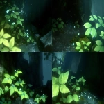 **leaf leif erikson the lief leaf leaving leaves left leafy leafed 🥬 🌲 🍃 green --sref 2230491041 --ar 3:2 --p 8c2ty1c r9zzeex --niji 6** - Variations (Strong) by <@1071135204846096475> (relaxed)
-# Create, explore, and organize on [midjourney.com](<https://midjourney.com/imagine?from_discord=1>)