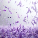 **Hundreds of lavender-purple petals swirling across a light gray field, mid-air motion composition, crisp focus on many petals, elegant lighting, no blur, no distortion --ar 16:9 --v 6.0** - Image #1 <@1386141833826140192>