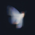 **18h 3D render, Forside-style fine-art surrealism inspired by Neo-Plasticism. A butterfly reimagined through pure geometric balance its wings unfold like translucent architectural planes of light and shadow. The left wing radiates luminous white and deep black in vertical order, while the right wing holds quiet horizontal bands of spectral color (red, blue, yellow). The organic veins dissolve into crystalline lines of perfect proportion, transforming natural symmetry into abstract discipline. No background, only a black void filled with silent luminosity, where motion is replaced by equilibrium. The butterfly becomes a floating cathedral of geometry a hymn of stillness, balance, and divine order within the sublime. --ar 3:4 --raw --profile 57e8bjg --stylize 360** - Image #1 <@1233018167018917952>