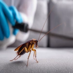 **commercial pest control --ar 3:2** - Image #3 <@895073519526871042>
