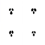 **minimal, vector logo, simple svg, black lines, white background. void, fear, shock --s 200 --c 10 --w 10 --v 7.0** - Variations (Strong) by <@277223286423945226> (fast)